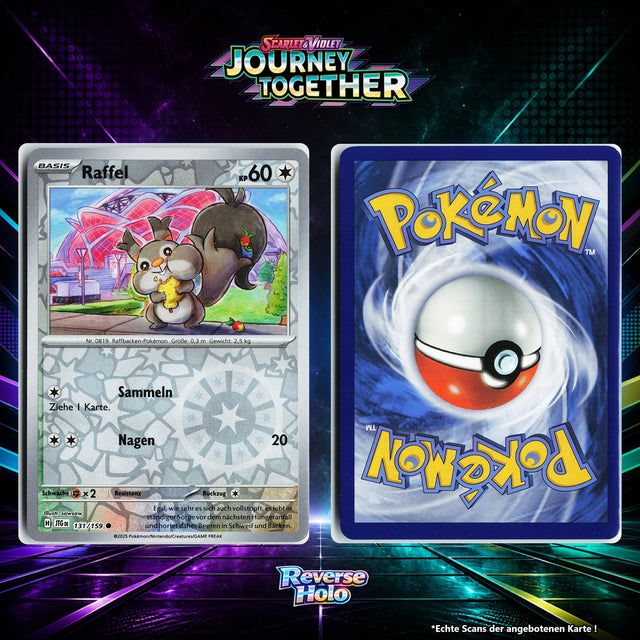 Raffel Reverse Holo Energy-Pattern JTG 131/159