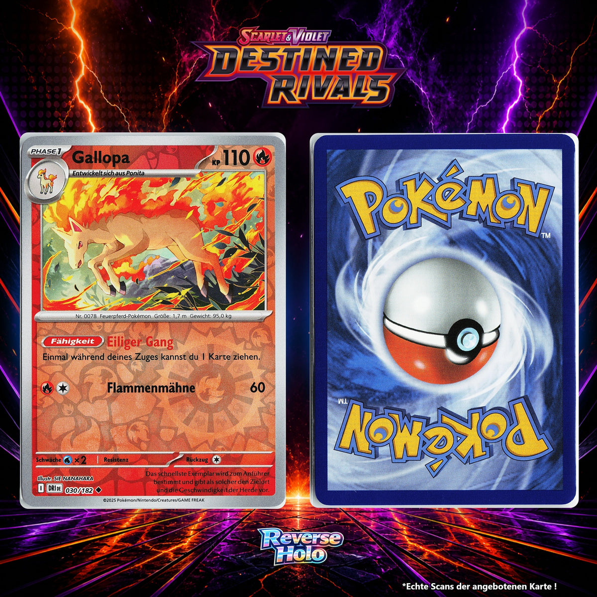 Gallopa Reverse Holo Energy-Pattern DRI 30/182