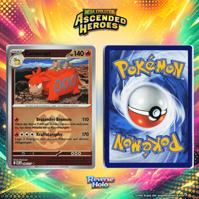 Camerupt Reverse Holo Pokeball ASC 28/217