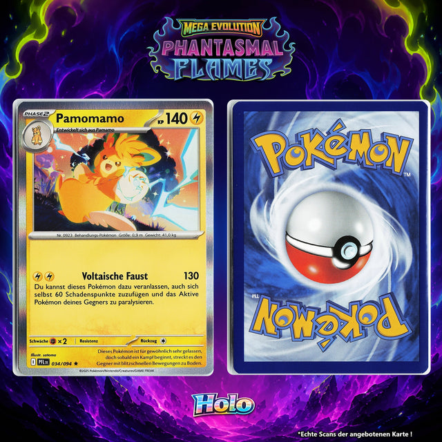 Pamomamo Holo PFL 34/94