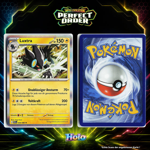 Luxtra Holo POR 28/88