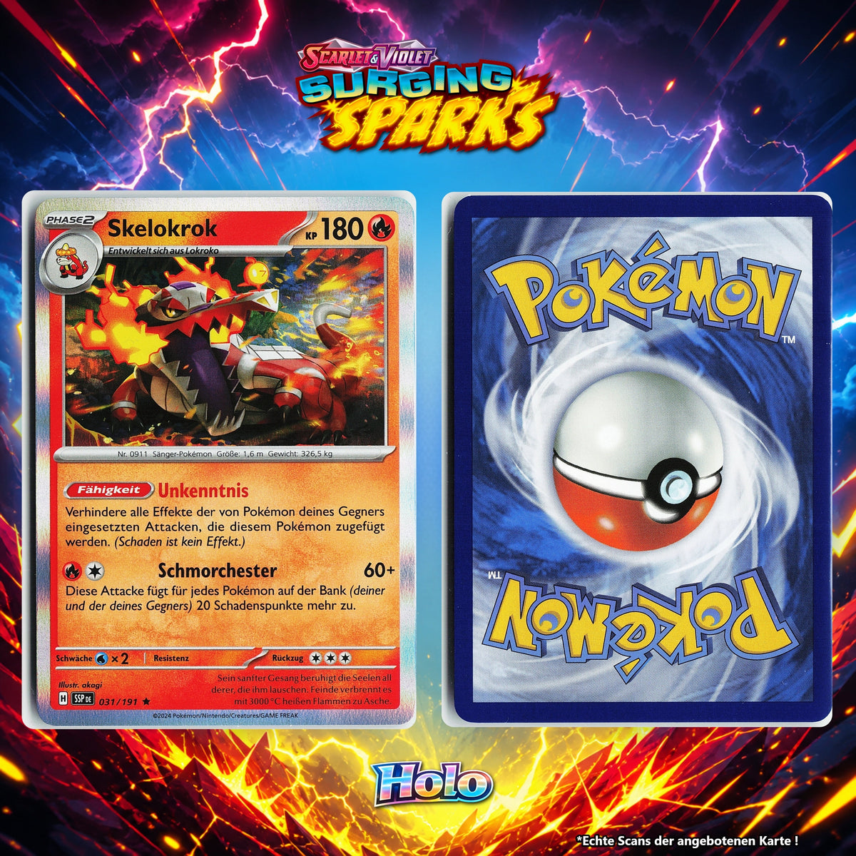 Skelokrok Holo SSP 31/191
