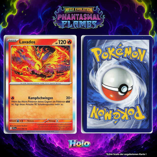 Lavados Holo PFL 14/94
