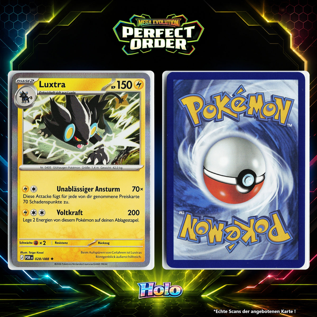 Luxtra Holo POR 28/88