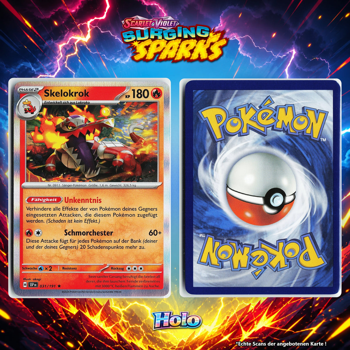 Skelokrok Holo SSP 31/191