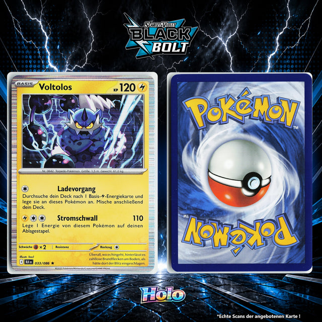 Voltolos Holo BLK 33/86