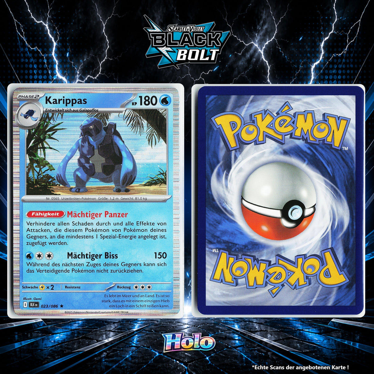 Karippas Holo BLK 23/86