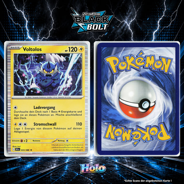 Voltolos Holo BLK 33/86