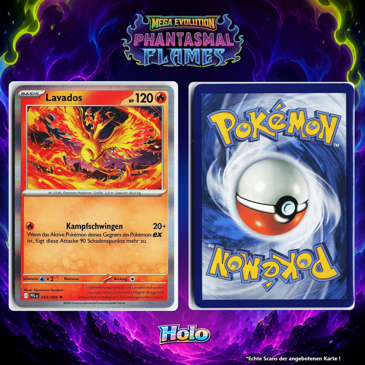 Lavados Holo PFL 14/94