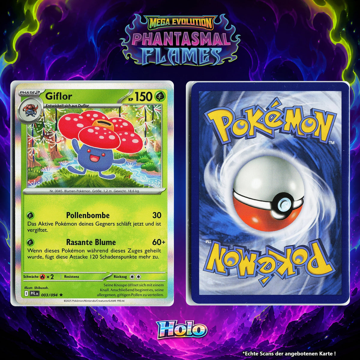 Giflor Holo PFL 3/94