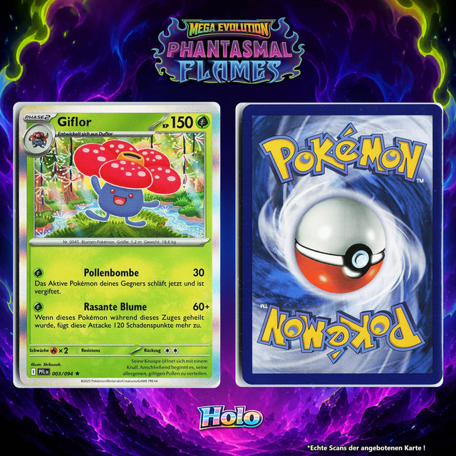 Giflor Holo PFL 3/94