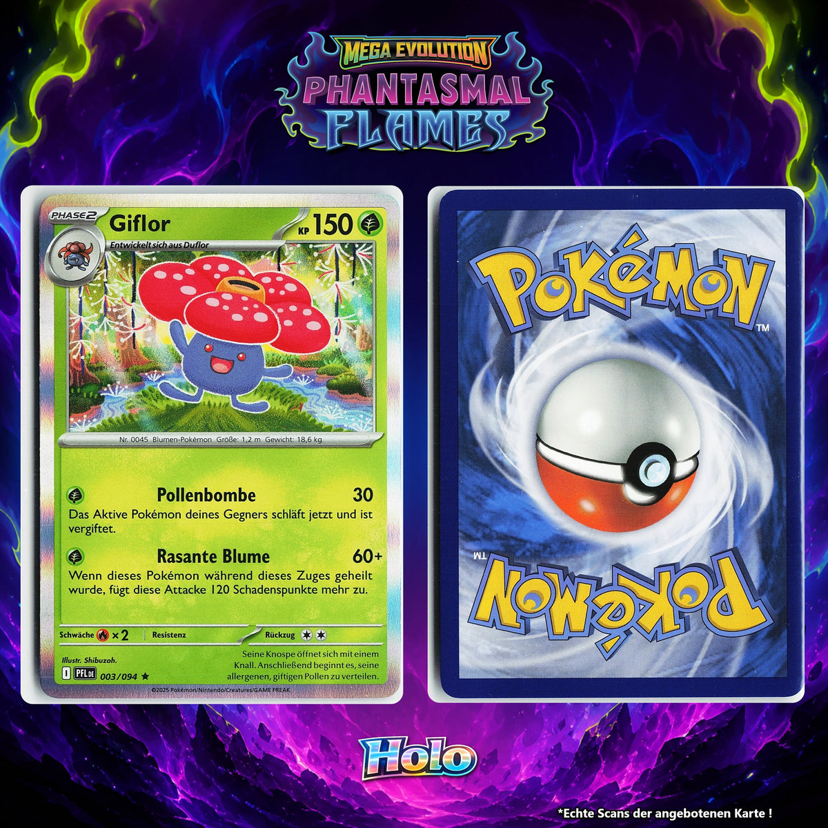 Giflor Holo PFL 3/94