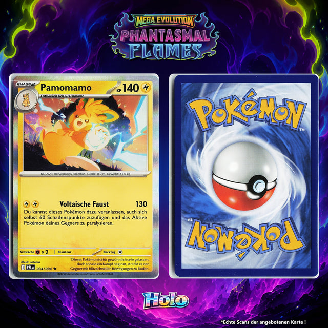 Pamomamo Holo PFL 34/94