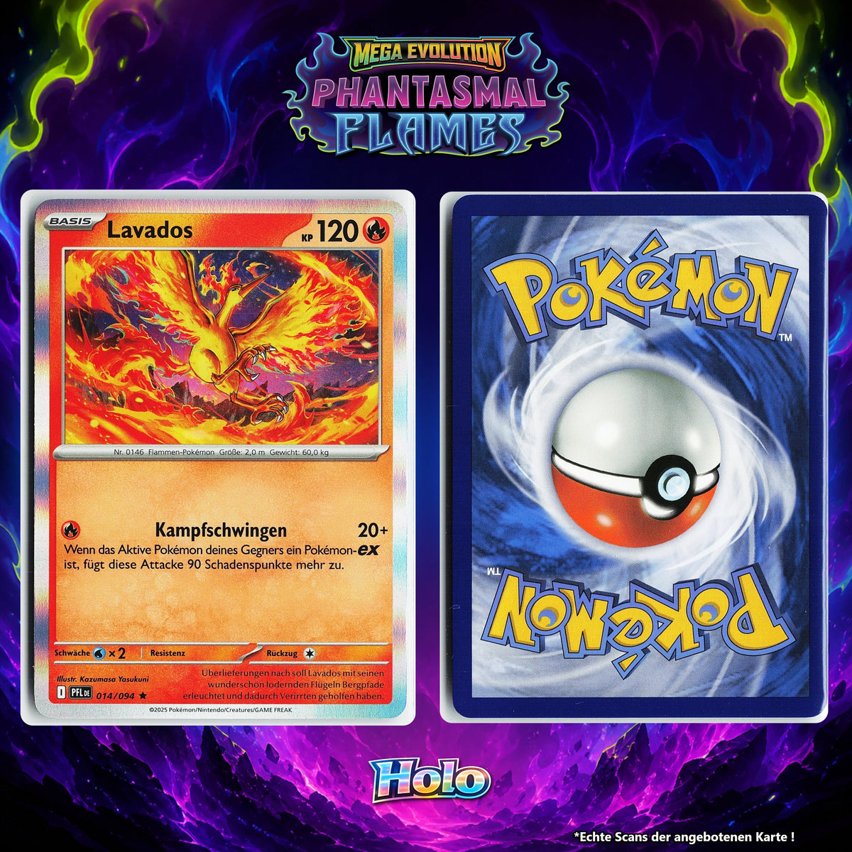Lavados Holo PFL 14/94