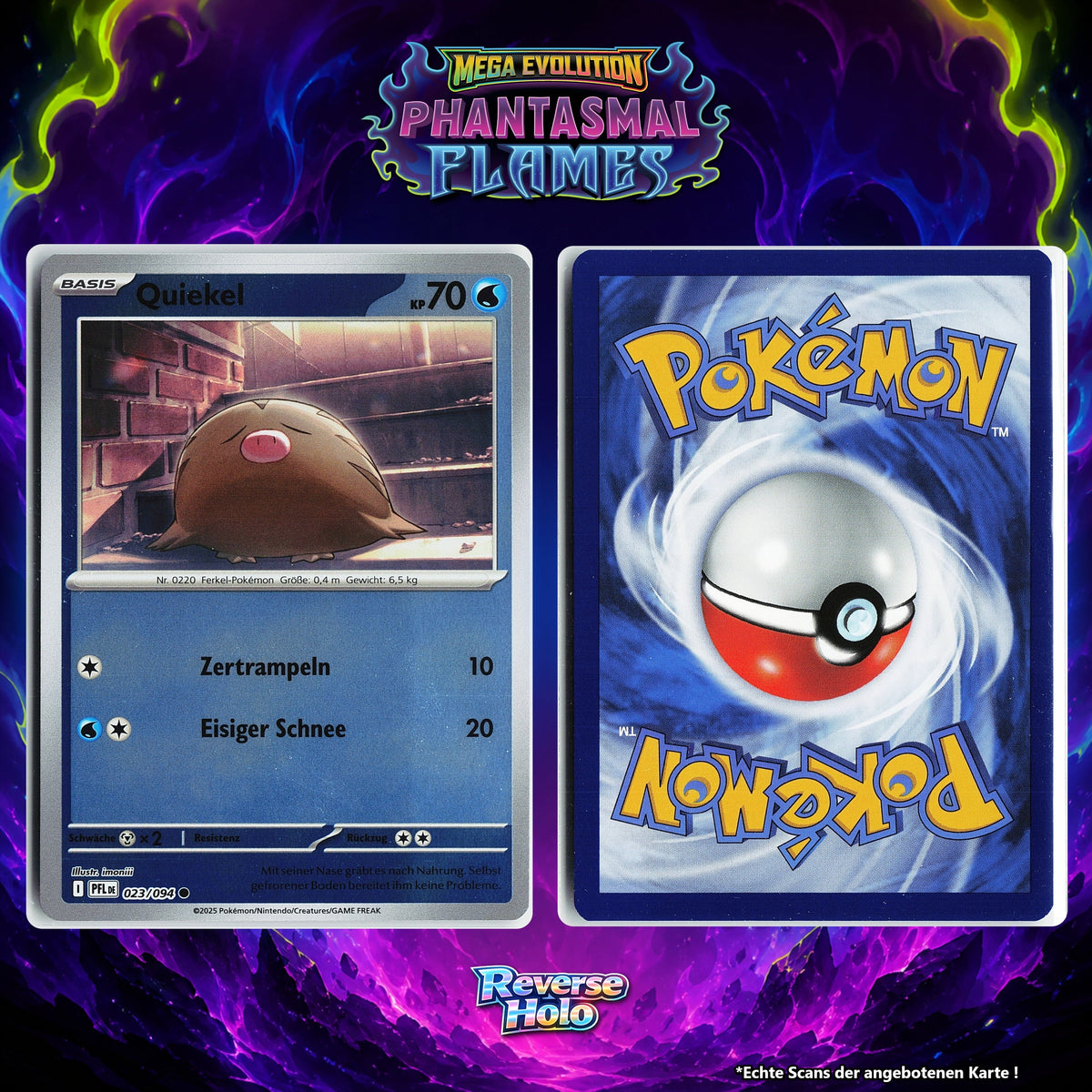 Quiekel Reverse Holo PFL 23/94