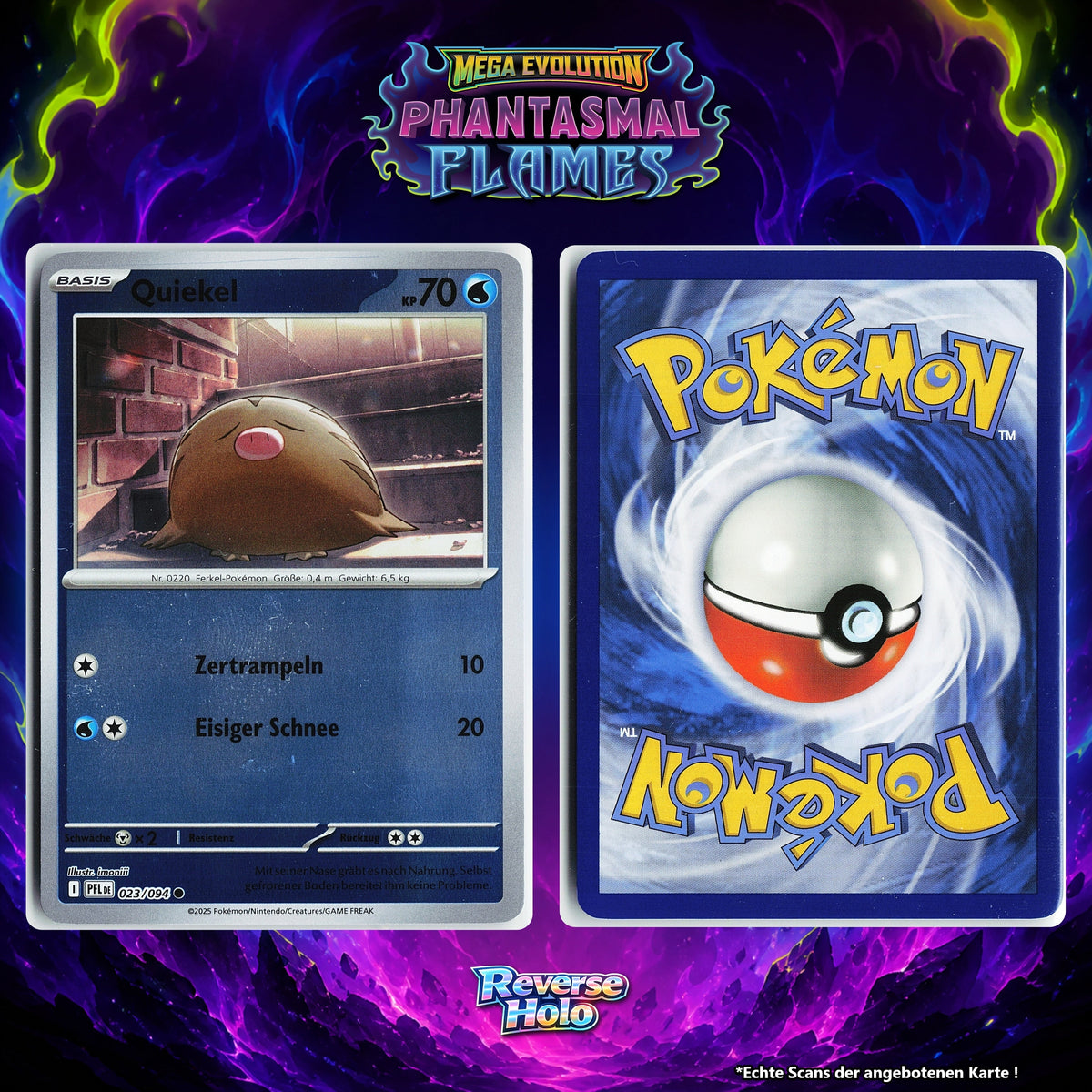 Quiekel Reverse Holo PFL 23/94