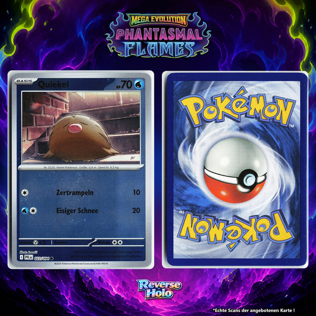 Quiekel Reverse Holo PFL 23/94