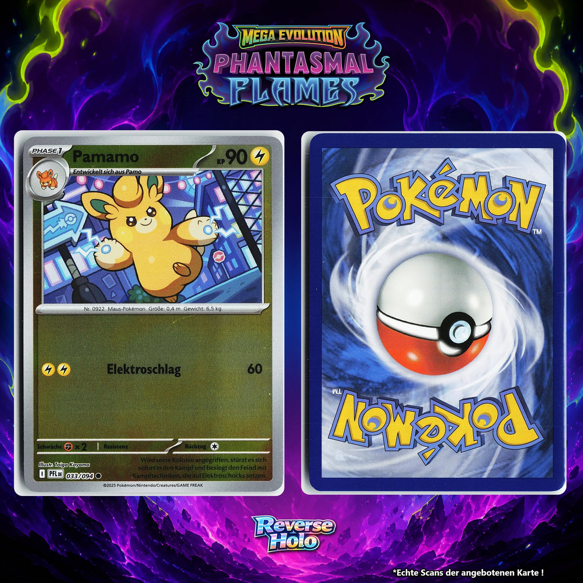 Pamamo Reverse Holo PFL 33/94