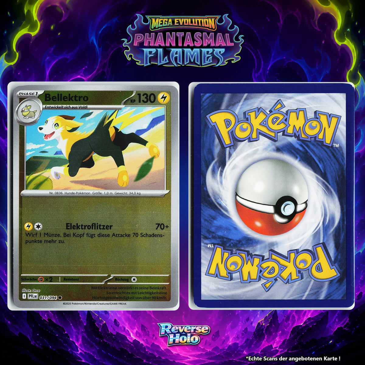 Bellektro Reverse Holo PFL 31/94
