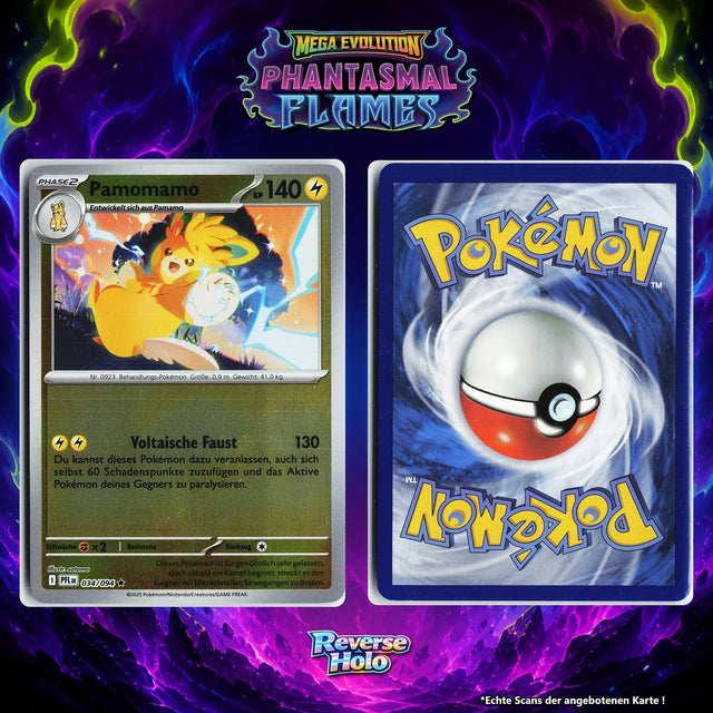 Pamomamo Reverse Holo PFL 34/94