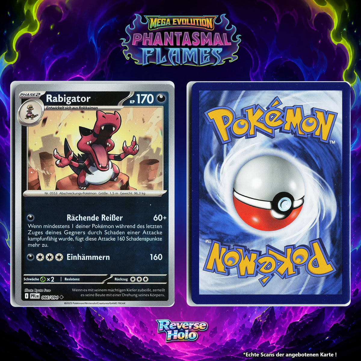 Rabigator Reverse Holo PFL 66/94