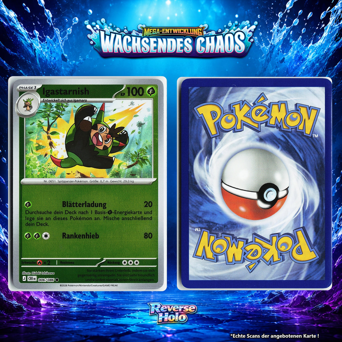 Igastarnish Reverse Holo CRI 6/86