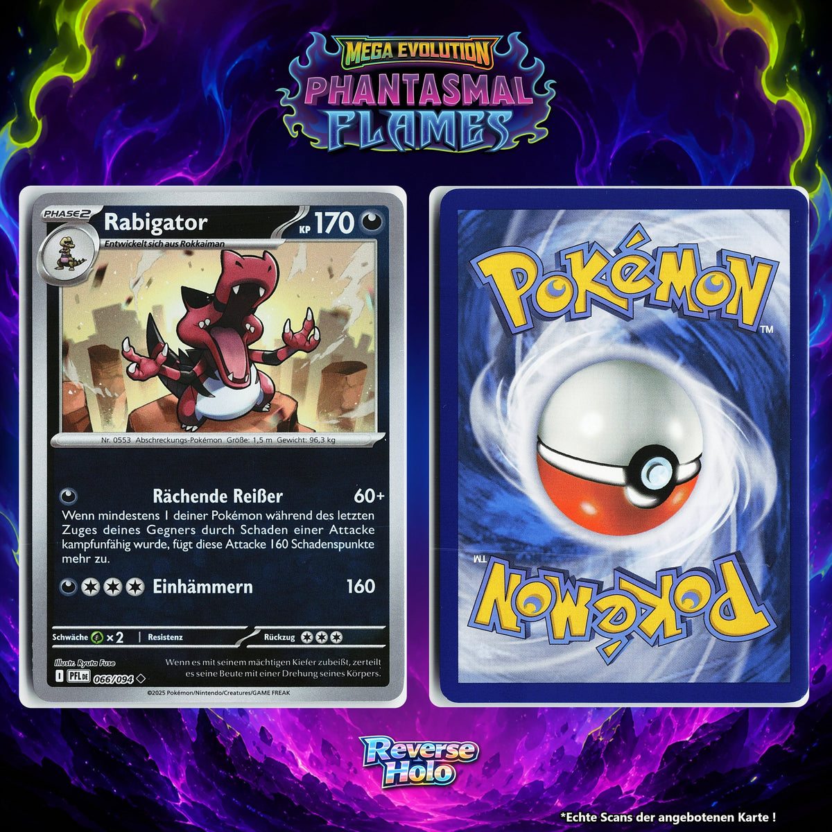 Rabigator Reverse Holo PFL 66/94