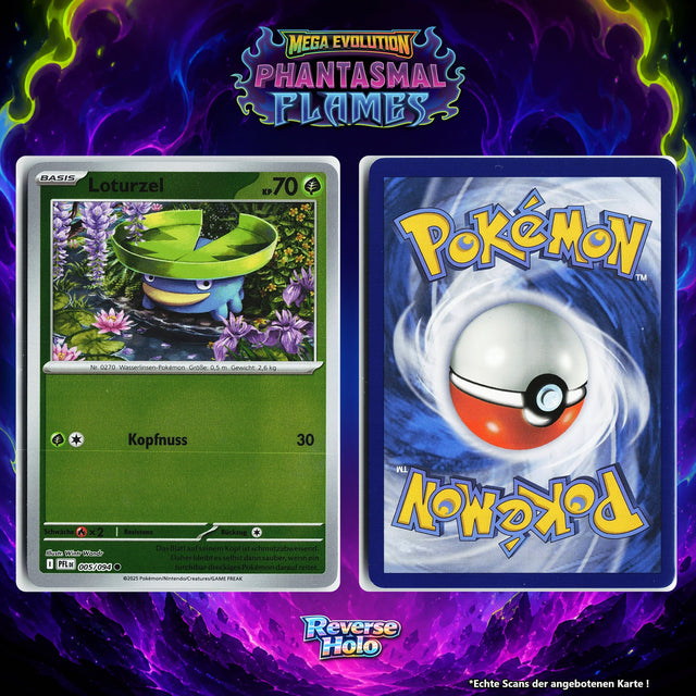 Loturzel Reverse Holo PFL 5/94