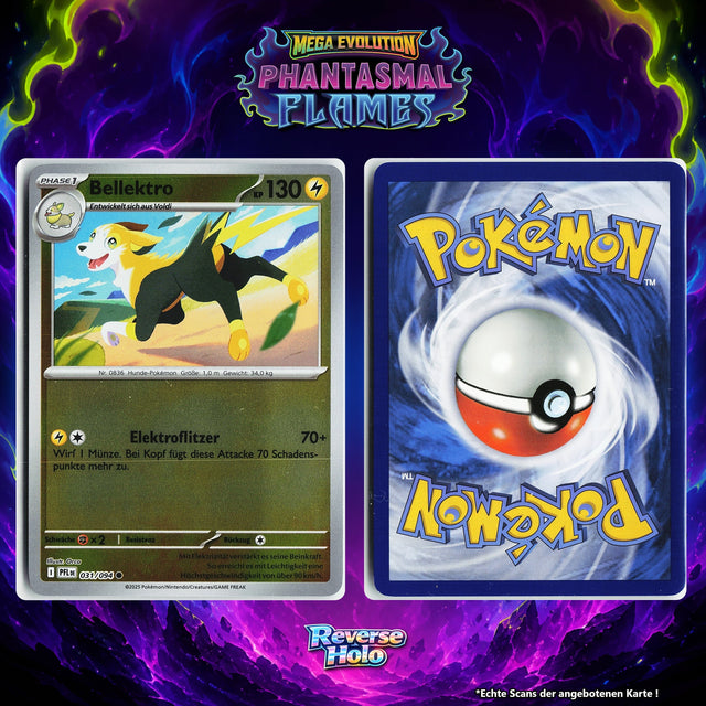 Bellektro Reverse Holo PFL 31/94