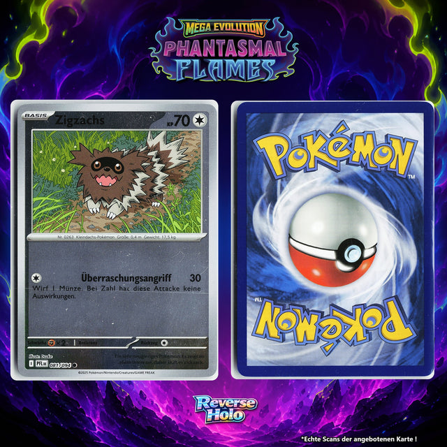 Zigzachs Reverse Holo PFL 81/94