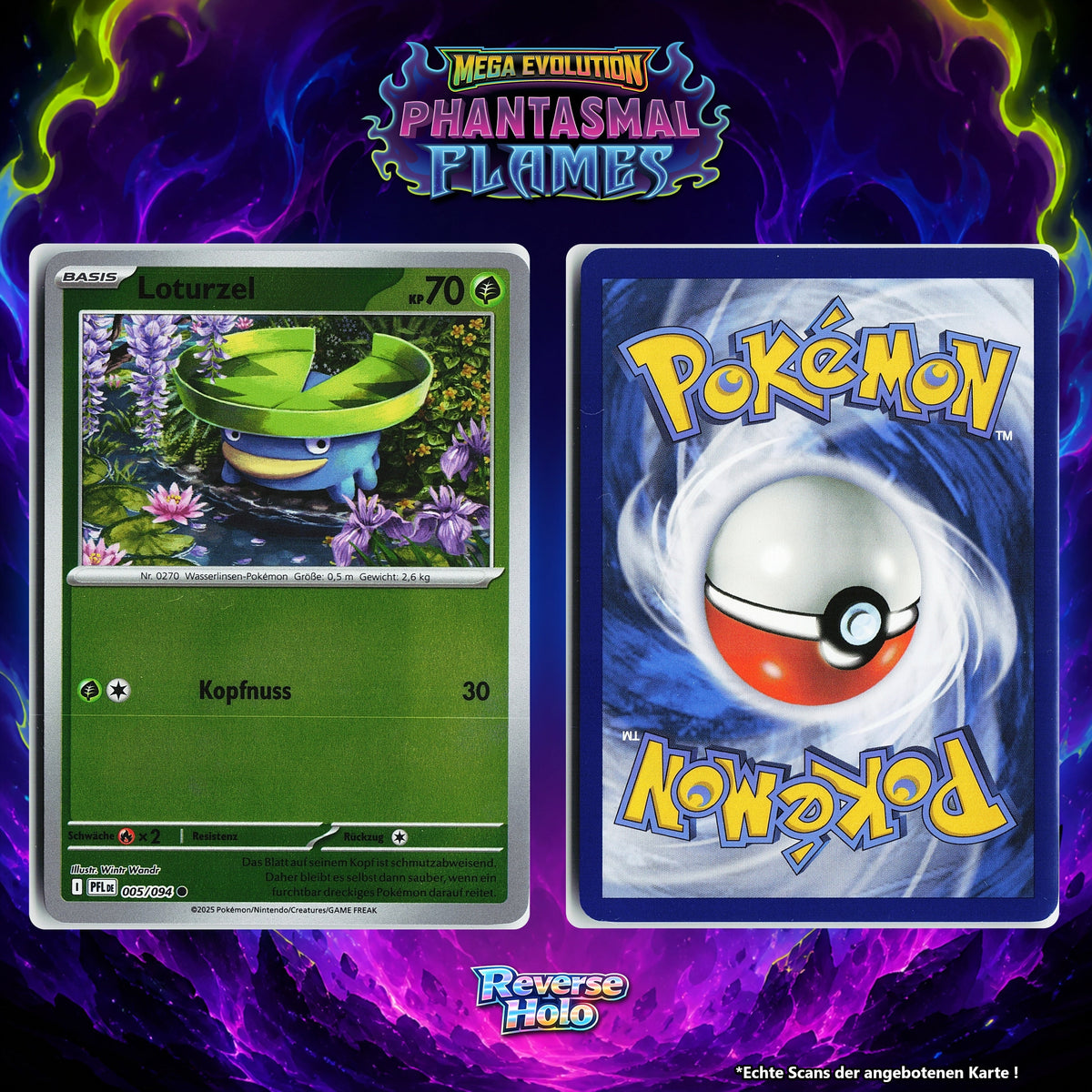 Loturzel Reverse Holo PFL 5/94