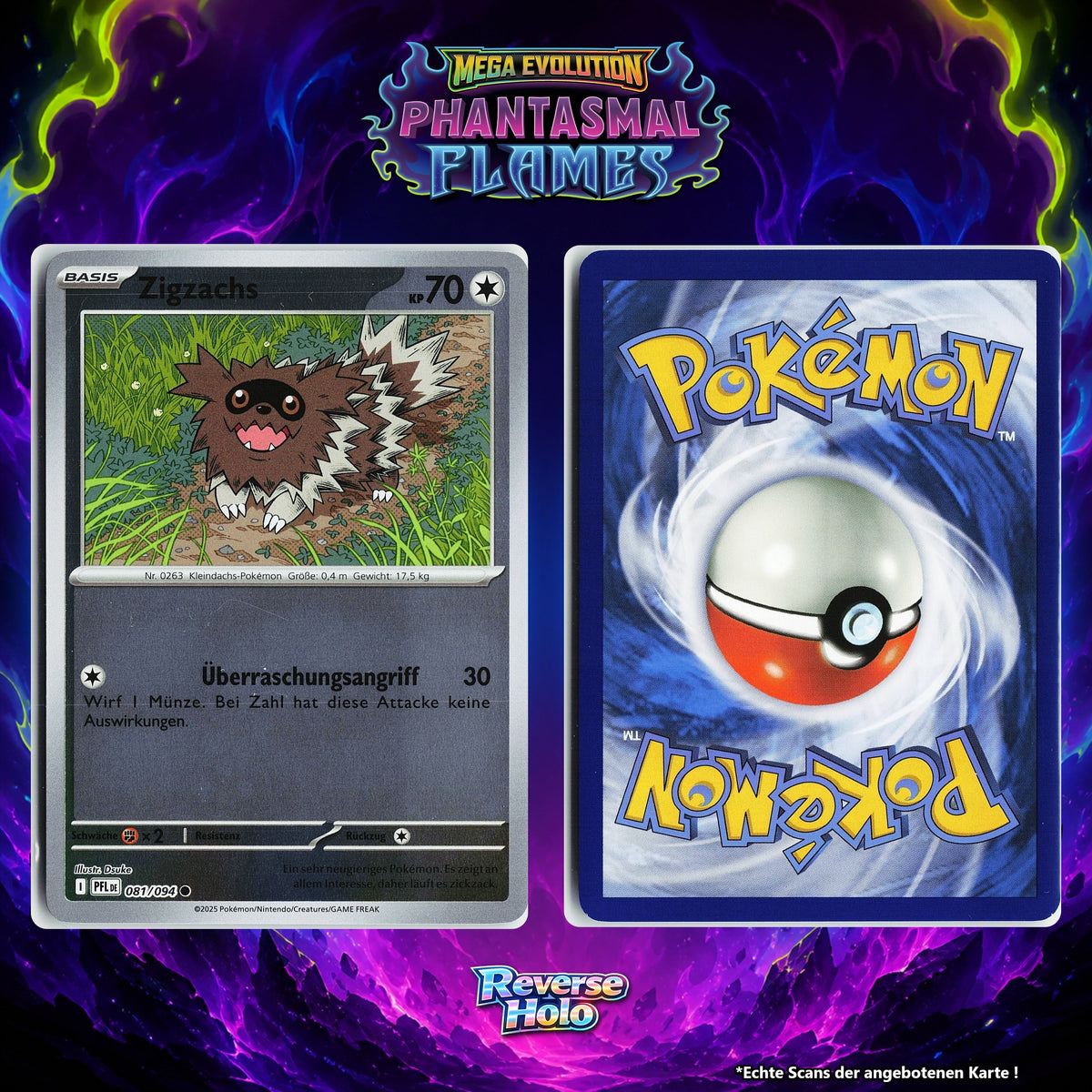 Zigzachs Reverse Holo PFL 81/94