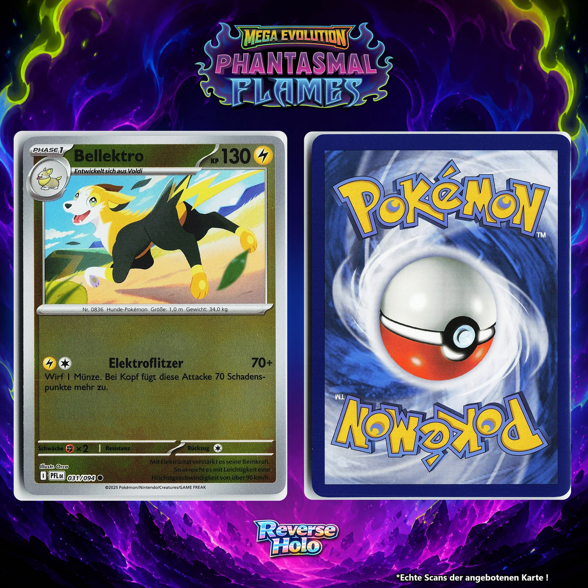 Bellektro Reverse Holo PFL 31/94