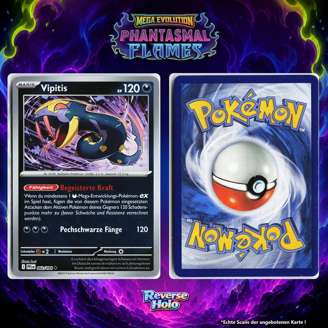 Vipitis Reverse Holo PFL 62/94