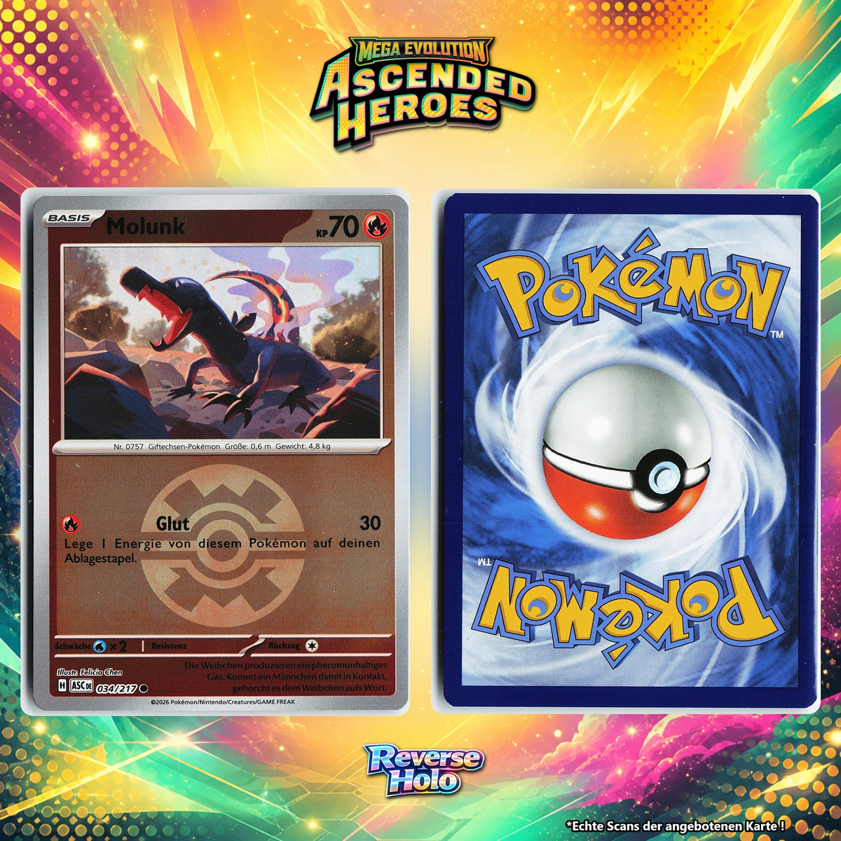 Molunk Reverse Holo Pokeball ASC 34/217