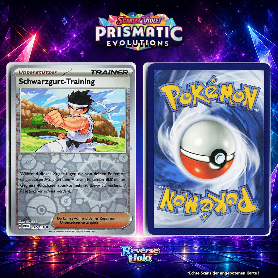 Schwarzgurt Training Reverse Holo Pokeball PRE 97/131