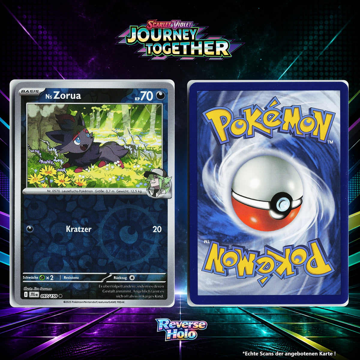 Ns Zorua Reverse Holo Energy-Pattern JTG 97/159