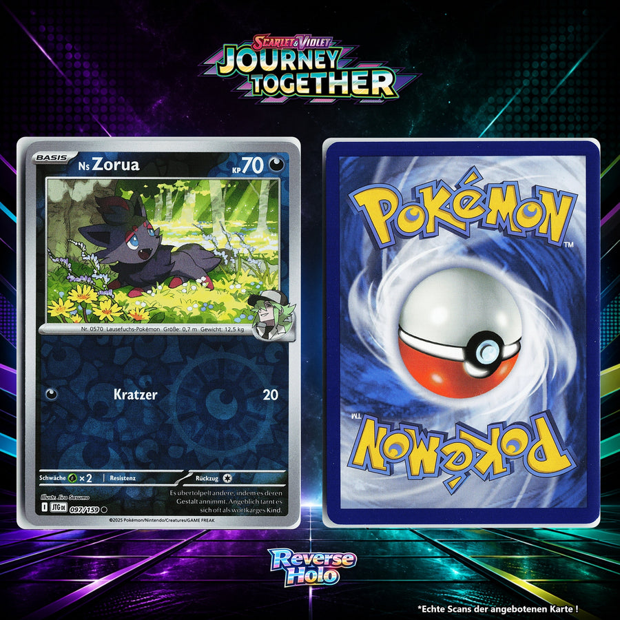 Ns Zorua Reverse Holo Energy-Pattern JTG 97/159