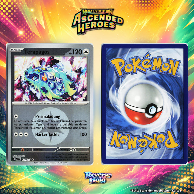 Terapagos Reverse Holo Energy-Pattern ASC 178/217