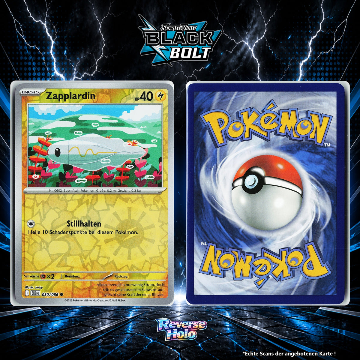Zapplardin Reverse Holo Energy-Pattern BLK 30/86