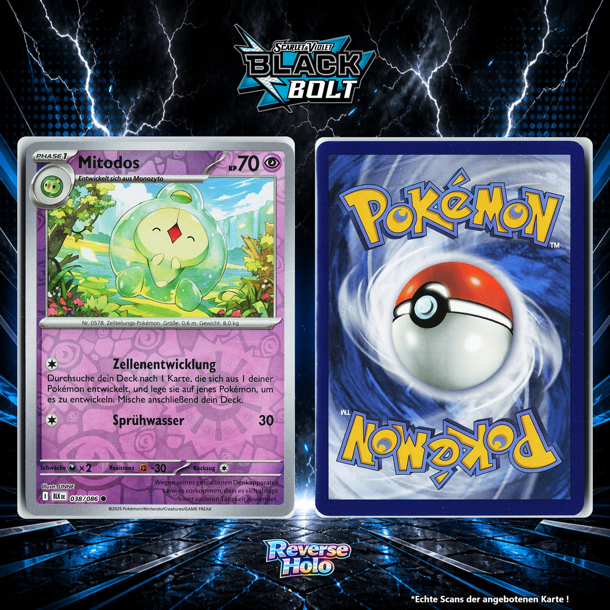 Mitodos Reverse Holo Energy-Pattern BLK 38/86