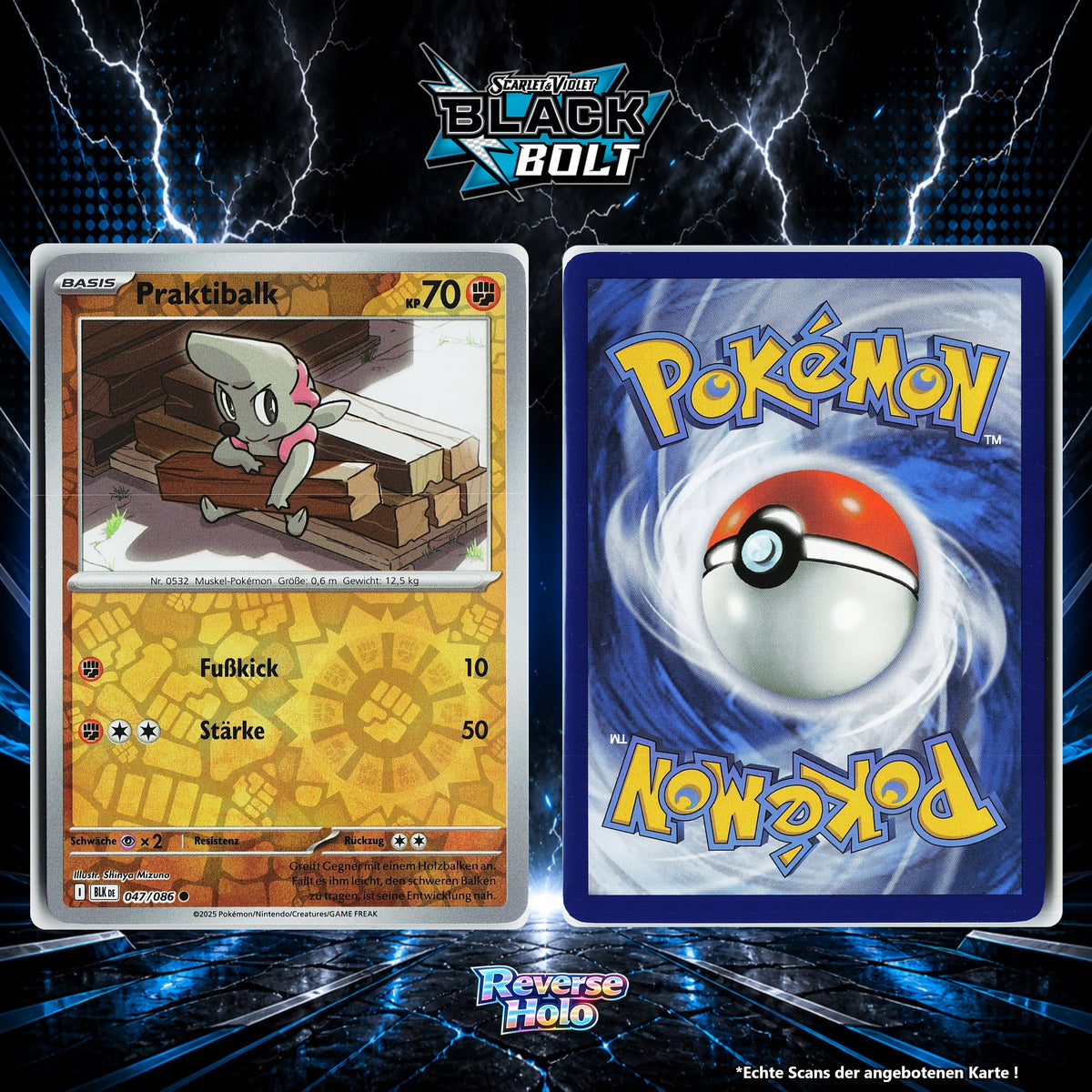 Praktibalk Reverse Holo Energy-Pattern BLK 47/86