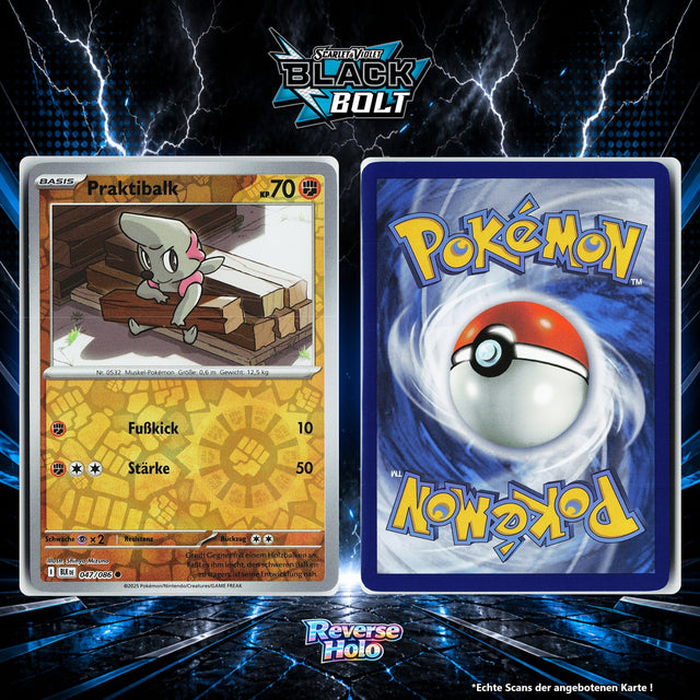 Praktibalk Reverse Holo Energy-Pattern BLK 47/86