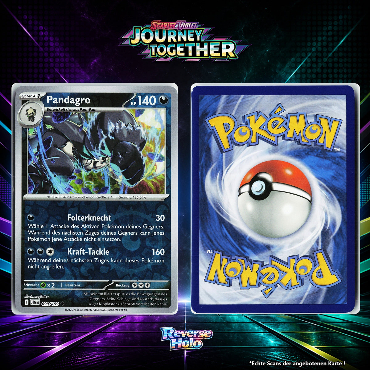Pandagro Reverse Holo Energy-Pattern JTG 99/159