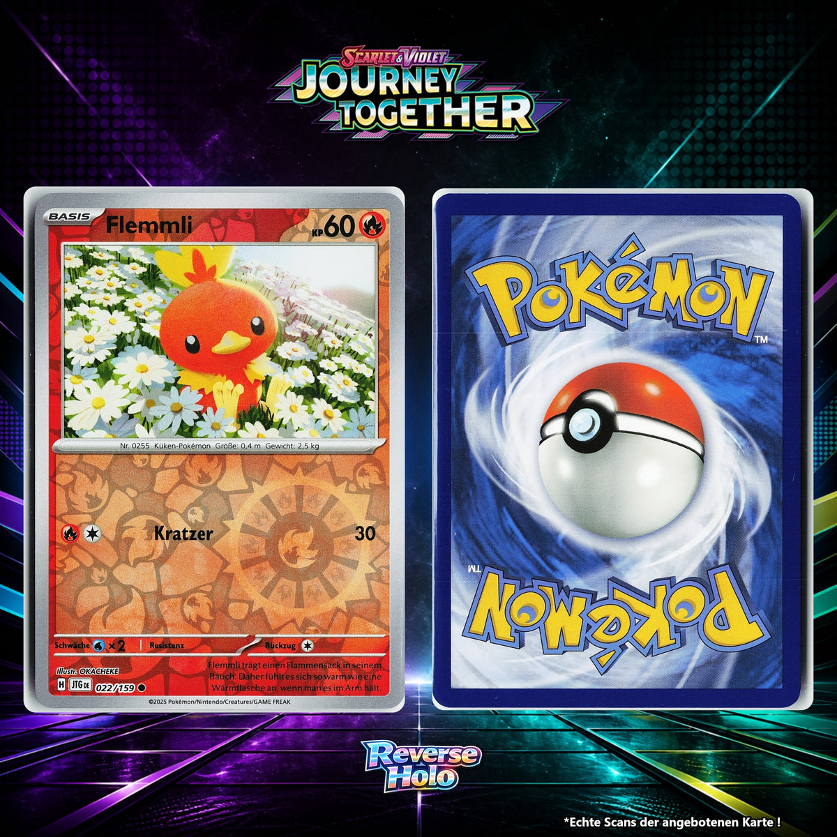 Flemmli Reverse Holo Energy-Pattern JTG 22/159