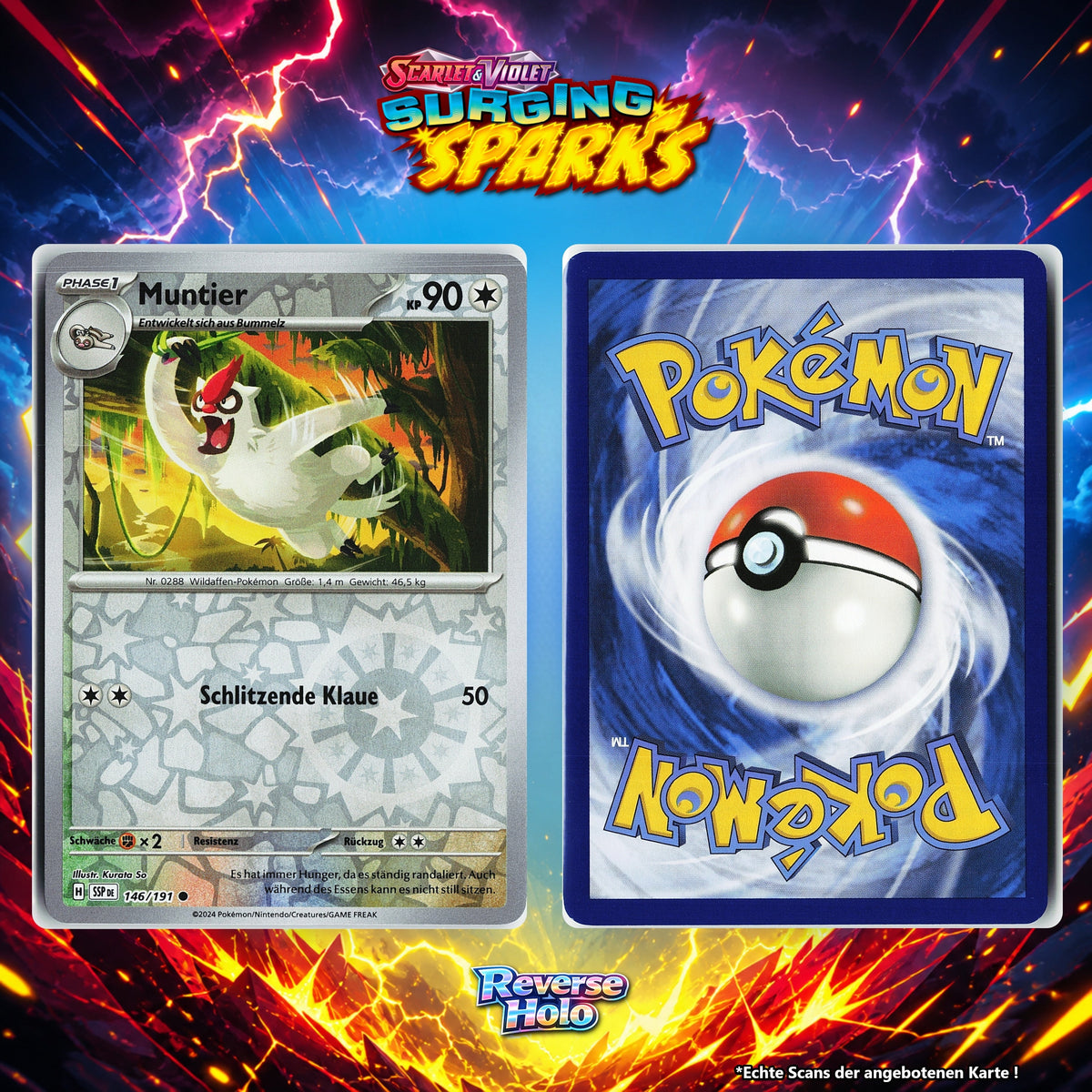 Muntier Reverse Holo Energy-Pattern SSP 146/191