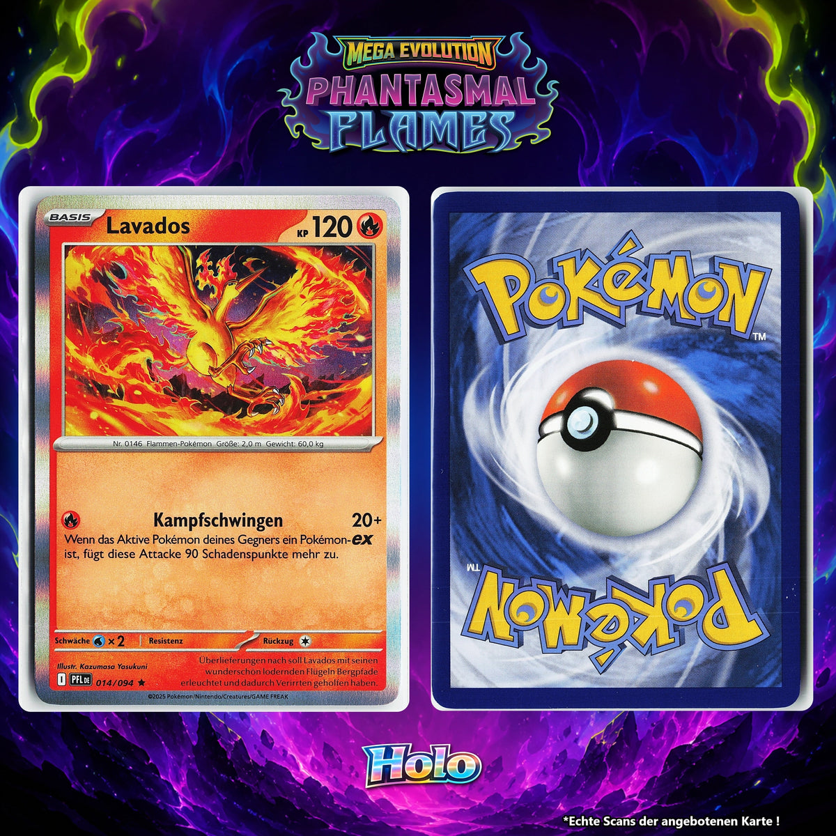 Lavados Holo PFL 14/94