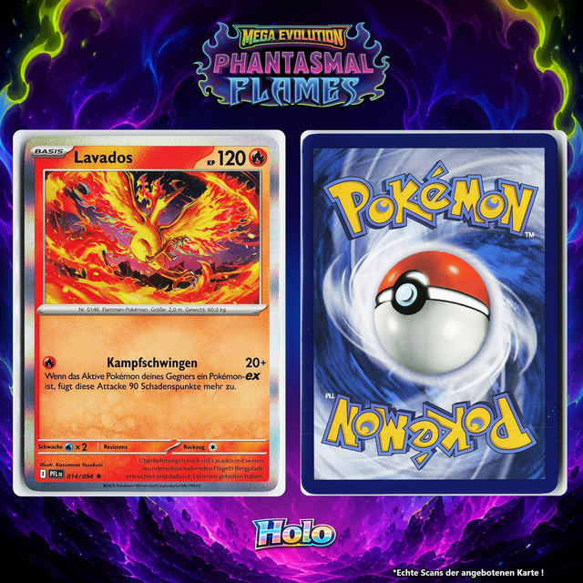 Lavados Holo PFL 14/94