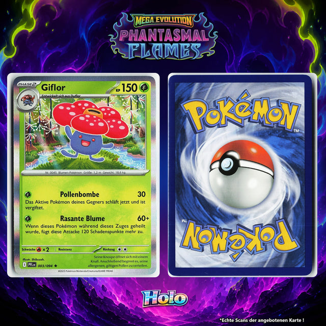Giflor Holo PFL 3/94