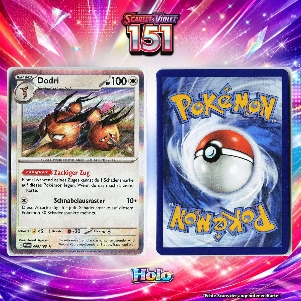 Dodri Holo MEW 85/165